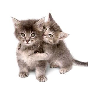 Meet your Posher, Cynthia